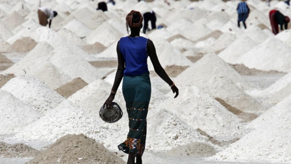 Le Sénégal importe-t-il le quart de sa consommation en sel ? Le Sénégal importe-t-il le quart de sa consommation en sel ?