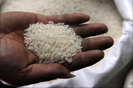 Sécurité alimentaire en riz en Afrique de l’Ouest : Syngenta juge ‘’insuffisante’’ la production sur le continent Sécurité alimentaire en riz en Afrique de l’Ouest : Syngenta juge ‘’insuffisante’’ la production sur le continent