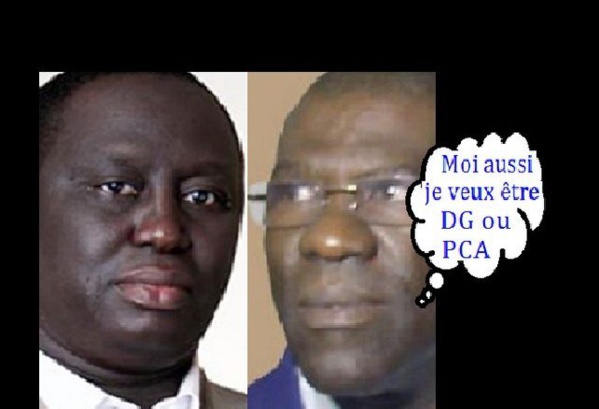 Pikine : après la nomination d’Aliou Sall, les femmes pro-Thimbo crient à l’injustice et menacent Pikine : après la nomination d’Aliou Sall, les femmes pro-Thimbo crient à l’injustice et menacent