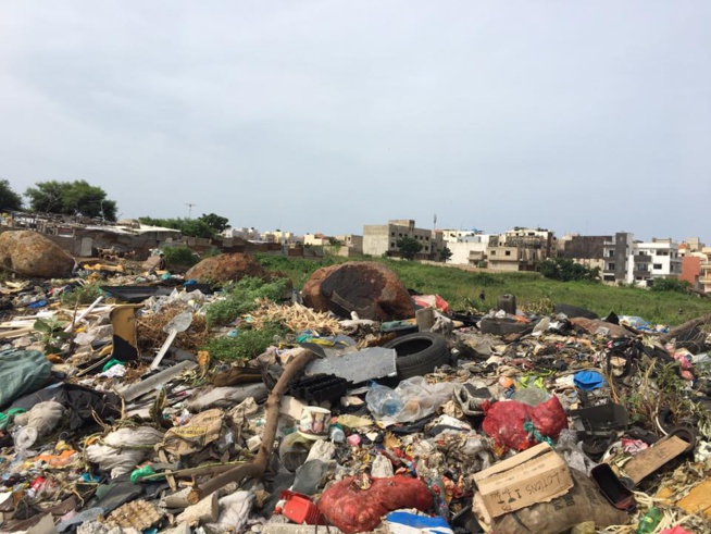 Insalubrité aux abords de la cité de l'ancienne piste : le maire de Yoff Abdoulaye Diouf Sarr interpellé Insalubrité aux abords de la cité de l'ancienne piste : le maire de Yoff Abdoulaye Diouf Sarr interpellé