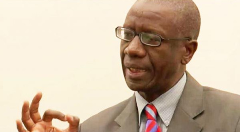 Demba Moussa Dembélé, économiste/chercheur : "La nomination d’Aliou Sall à la CDC, c’est pour préparer les élections de 2019" Demba Moussa Dembélé, économiste/chercheur : "La nomination d’Aliou Sall à la CDC, c’est pour préparer les élections de 2019"