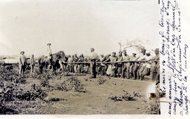 Colonisation: Comment transportait-on les canons ? Avec de l'huile de coude...noire de préférence ! Colonisation: Comment transportait-on les canons ? Avec de l'huile de coude...noire de préférence !