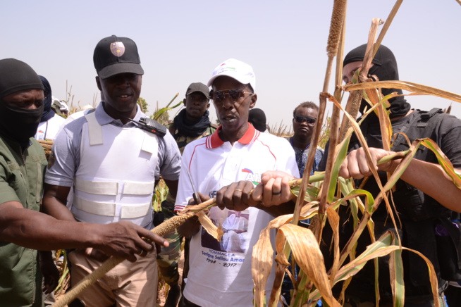 Cheikh Amar en route vers Khelcome ce vendredi . Cheikh Amar en route vers Khelcome ce vendredi .