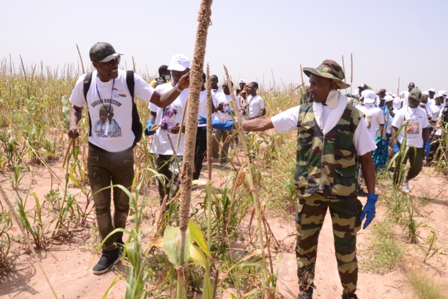 Cheikh Amar en route vers Khelcome ce vendredi . Cheikh Amar en route vers Khelcome ce vendredi .