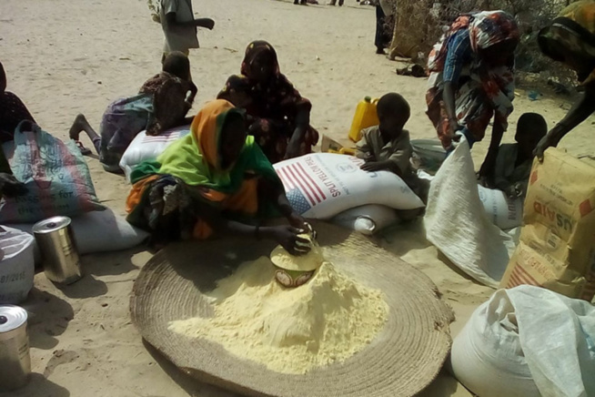 Insécurité alimentaire au Sénégal : Six départements en situation difficile, signalés Insécurité alimentaire au Sénégal : Six départements en situation difficile, signalés