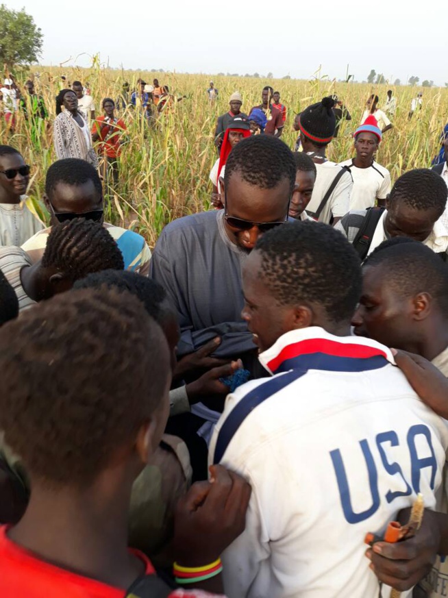 Serigne Abo, fils de Serigne Cheikh Saliou dans ses oeuvres à Khelcome. Serigne Abo, fils de Serigne Cheikh Saliou dans ses oeuvres à Khelcome.
