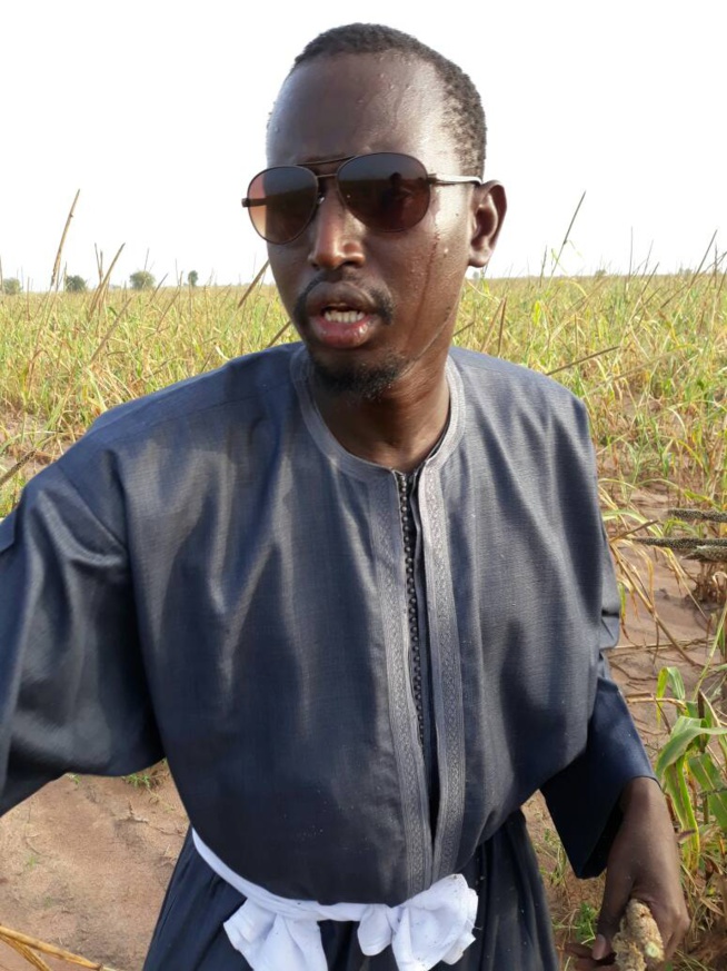 Serigne Abo, fils de Serigne Cheikh Saliou dans ses oeuvres à Khelcome. Serigne Abo, fils de Serigne Cheikh Saliou dans ses oeuvres à Khelcome.