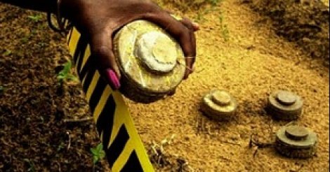 Ziguinchor : Les 480 victimes des mines décrient leur situation et réclament un accompagnement de l’Etat Ziguinchor : Les 480 victimes des mines décrient leur situation et réclament un accompagnement de l’Etat