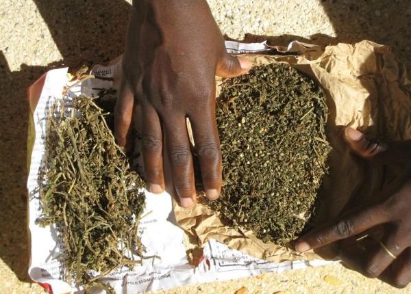 Poursuivi pour offre et cession de drogue : Le mécanicien, Y. Diop recouvre sa liberté Poursuivi pour offre et cession de drogue : Le mécanicien, Y. Diop recouvre sa liberté