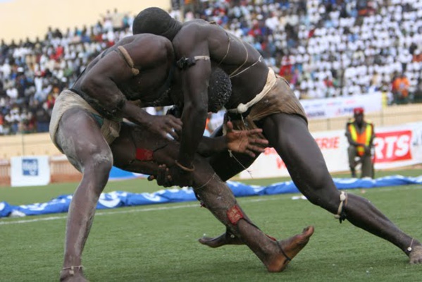 Le Sénégal compte 3500 lutteurs, selon le décompte du Cng
