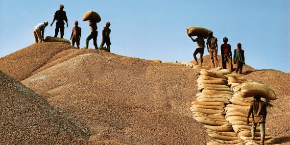 Sénégal : l’huilier Sonacos prépare sa deuxième privatisation Sénégal : l’huilier Sonacos prépare sa deuxième privatisation