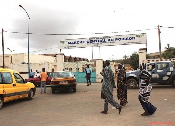 Victime d’une d’un malaise, le directeur du marché au poisson de Pikine meurt dans sa voiture Victime d’une d’un malaise, le directeur du marché au poisson de Pikine meurt dans sa voiture