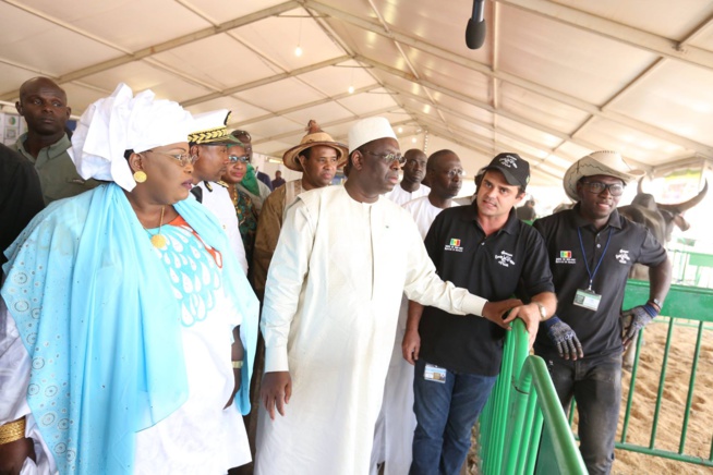 La chute du ministre de l’élevage, Aminta Mbengue ! ELLE, a été trahie par son … La chute du ministre de l’élevage, Aminta Mbengue ! ELLE, a été trahie par son …