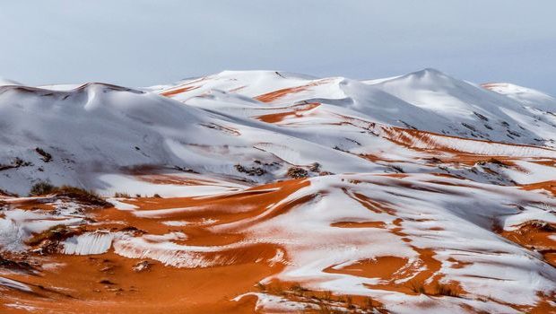 Vidéo et Photos – Fait inédit : La neige a envahi les belles dunes de sable du Sahara Vidéo et Photos – Fait inédit : La neige a envahi les belles dunes de sable du Sahara