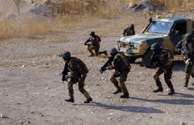 Casamance: l’armée arrête 16 personnes dans la forêt de Boffa Bayotte Casamance: l’armée arrête 16 personnes dans la forêt de Boffa Bayotte