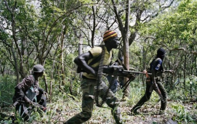 Arrestation suite au meurtre de 14 bûcherons dans la forêt de casamance.