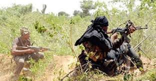 Amath Mbaye et Modou Mbaye, les deux présumés rebelles arrêtés en Gambie, trouvés avec 795 000 FCfa Amath Mbaye et Modou Mbaye, les deux présumés rebelles arrêtés en Gambie, trouvés avec 795 000 FCfa