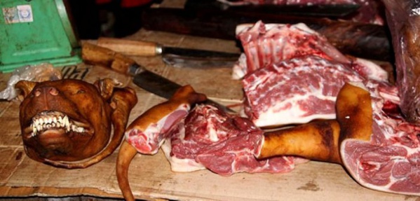 Scandale à Yeumbeul Nord : De la viande de chien vendue sur le marché Scandale à Yeumbeul Nord : De la viande de chien vendue sur le marché