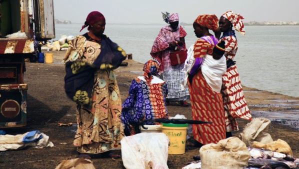 Fipa: Les «Mareyeurs» au Sénégal, moins de poissons, plus d’émigration Fipa: Les «Mareyeurs» au Sénégal, moins de poissons, plus d’émigration