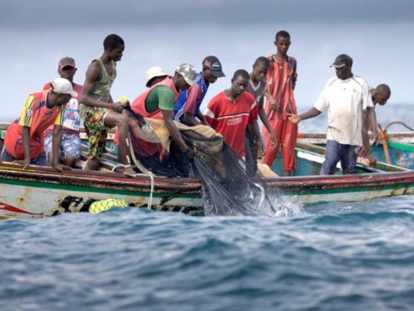 Ziguinchor : les mareyeurs et les autorités à couteaux tirés à cause du mémorial du «Joola » Ziguinchor : les mareyeurs et les autorités à couteaux tirés à cause du mémorial du «Joola »