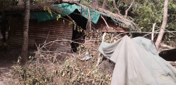 AU CŒUR D’UNE BASE REBELLE EN CASAMANCE: Bunkers, munitions, médicaments, drogue… AU CŒUR D’UNE BASE REBELLE EN CASAMANCE: Bunkers, munitions, médicaments, drogue…