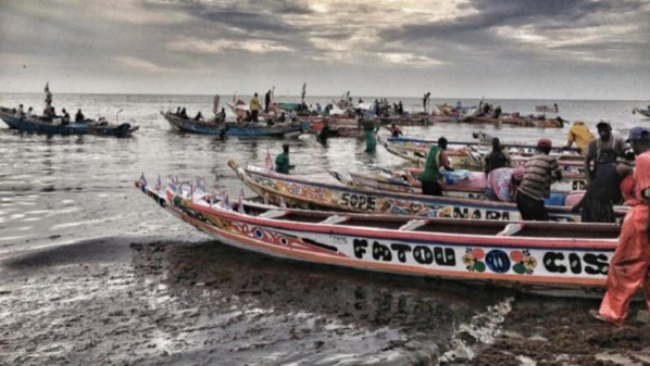 11 pirogues sénégalaises arraisonnées, les autorités exhortent les acteurs à respecter les textes et réglements en vigueur en Guinée-Bissau (Communiqué)