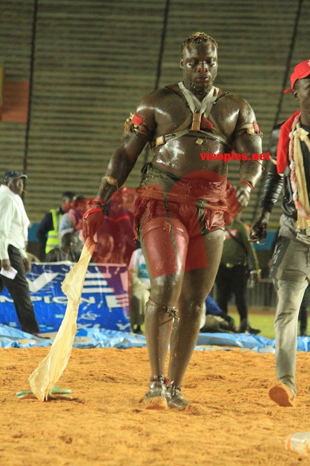 3 IMAGES à décortiquer de Ama Baldé plus fort et puissant sur Papa Sow. Modou Lo peut -il éviter Ama? 3 IMAGES à décortiquer de Ama Baldé plus fort et puissant sur Papa Sow. Modou Lo peut -il éviter Ama?