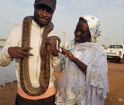 Arrêt sur image : Fata El Presidente, Thérèse Faye et le serpent. Arrêt sur image : Fata El Presidente, Thérèse Faye et le serpent.