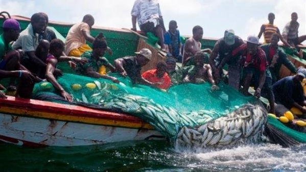 Pêche illégale en Afrique de l'Ouest: La Chine suspend les subventions et retire la licence à des compagnies impliquées Pêche illégale en Afrique de l'Ouest: La Chine suspend les subventions et retire la licence à des compagnies impliquées