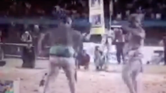 Victoire de Balla Gaye 2 par avertissement sur Gris Bordeaux:Décision arbitrale. Victoire de Balla Gaye 2 par avertissement sur Gris Bordeaux:Décision arbitrale.