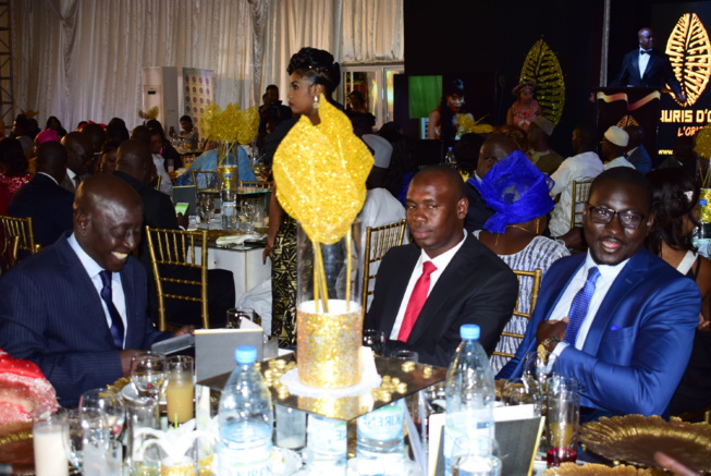 14 EDITIONS DE LA CEREMONIE LA PLUS PRESTIGIEUSE DE REMISES DE DISTINCTIONS EN AFRIQUE: LES CAURIS D'OR. IMAGES 14 EDITIONS DE LA CEREMONIE LA PLUS PRESTIGIEUSE DE REMISES DE DISTINCTIONS EN AFRIQUE: LES CAURIS D'OR. IMAGES