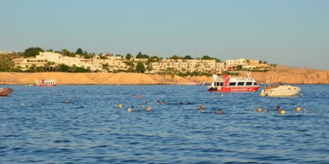 L'Egypte débloque 15 milliards de dollars pour le développement du Sinaï/Cameroun : les premiers signes de ralentissement de l'économie se confirment L'Egypte débloque 15 milliards de dollars pour le développement du Sinaï/Cameroun : les premiers signes de ralentissement de l'économie se confirment