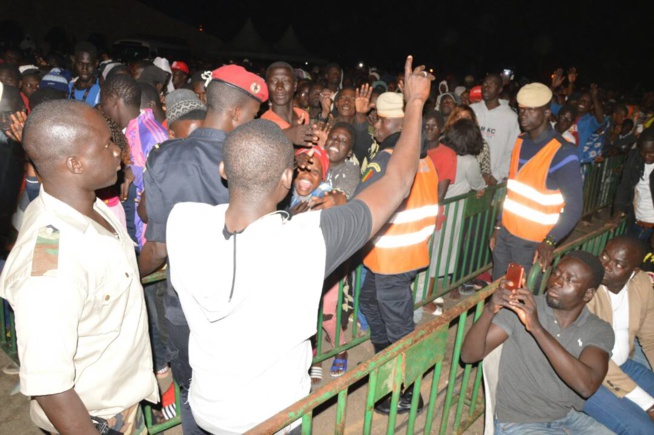 Maalaw d'or à Thies Pape Diouf chauffe le public Maalaw d'or à Thies Pape Diouf chauffe le public