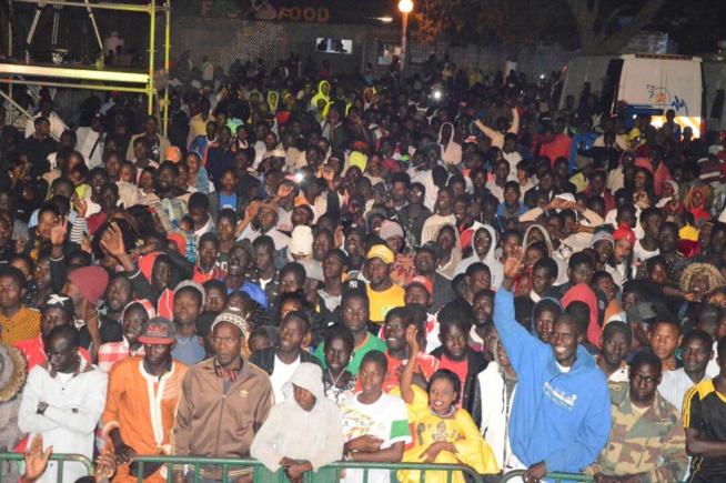 Maalaw d'or à Thies Pape Diouf chauffe le public Maalaw d'or à Thies Pape Diouf chauffe le public