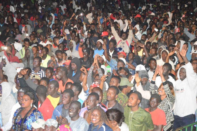 Maalaw d'or à Thies Pape Diouf chauffe le public Maalaw d'or à Thies Pape Diouf chauffe le public