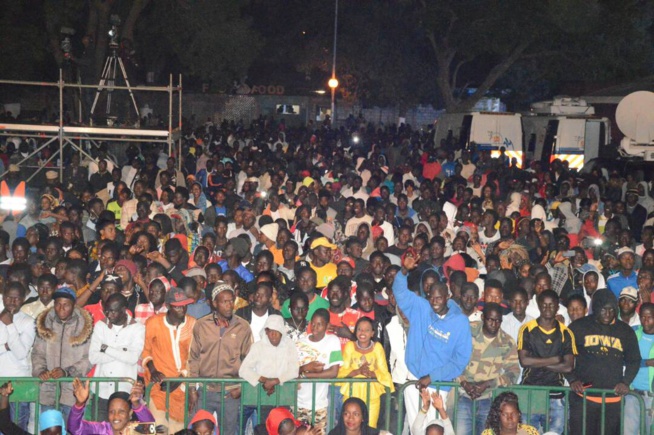 Maalaw d'or à Thies Pape Diouf chauffe le public Maalaw d'or à Thies Pape Diouf chauffe le public