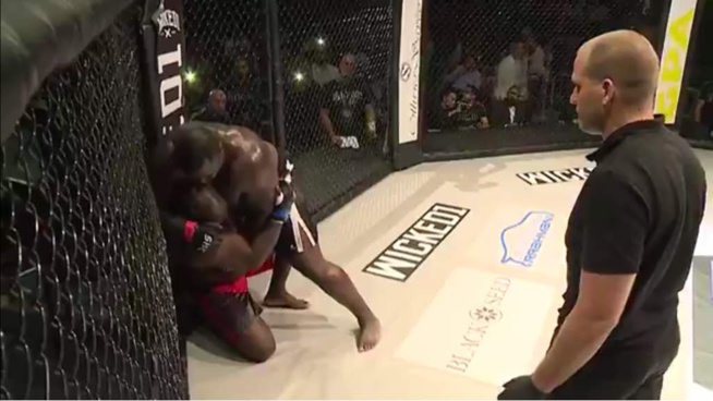 Les images du combat Bombardier victorieux sur Rocky Balboa en 5 minutes de combat. Les images du combat Bombardier victorieux sur Rocky Balboa en 5 minutes de combat.