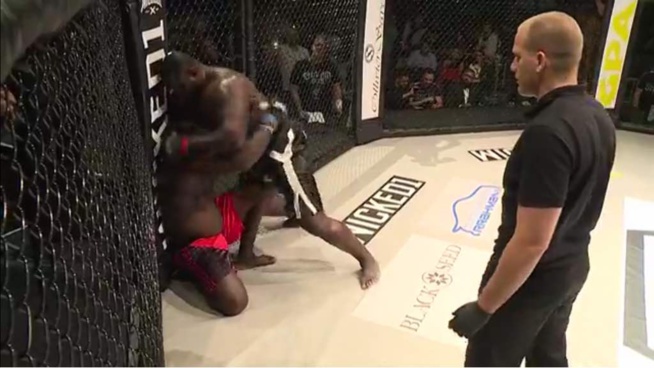 Les images du combat Bombardier victorieux sur Rocky Balboa en 5 minutes de combat. Les images du combat Bombardier victorieux sur Rocky Balboa en 5 minutes de combat.