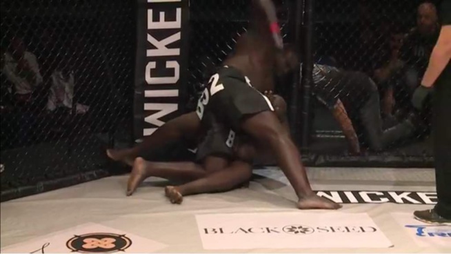 Les images du combat Bombardier victorieux sur Rocky Balboa en 5 minutes de combat. Les images du combat Bombardier victorieux sur Rocky Balboa en 5 minutes de combat.