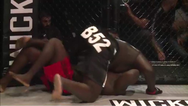 Les images du combat Bombardier victorieux sur Rocky Balboa en 5 minutes de combat. Les images du combat Bombardier victorieux sur Rocky Balboa en 5 minutes de combat.