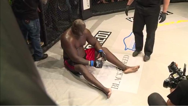 Les images du combat Bombardier victorieux sur Rocky Balboa en 5 minutes de combat. Les images du combat Bombardier victorieux sur Rocky Balboa en 5 minutes de combat.