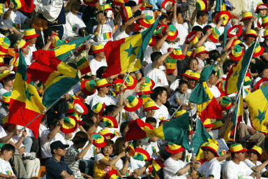Mondial 2018 : Près de 700 personnes autour des "Lions" Mondial 2018 : Près de 700 personnes autour des "Lions"