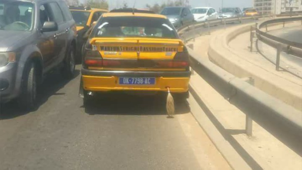 Ce taximan a payé fort son indiscipline ! Ce taximan a payé fort son indiscipline !