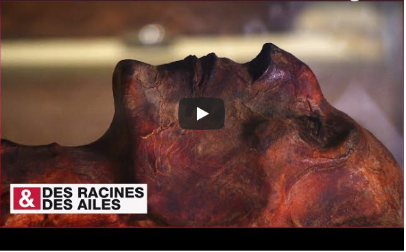 Ramsès II : la momie qui défie le temps !
