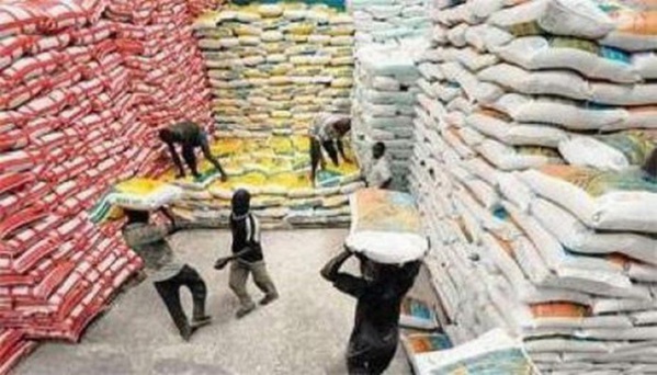 L'Afrique dépense plus de sept milliards de dollars par an pour ses importations de riz L'Afrique dépense plus de sept milliards de dollars par an pour ses importations de riz