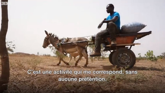 Des stades au champ, découvrez la toute nouvelle vie de Ferdinand Coly, ancien international sénégalais