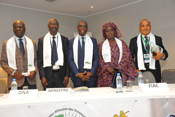 XIIème Assemblée Générale de la Fédération Interafricaine des Assureurs-Conseils: Discours de M. BIRIMA MANGARA, ministre chargé du Budget