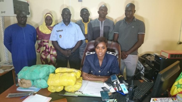 14 kilos de chanvre indien saisis à Kaolack (Police) 14 kilos de chanvre indien saisis à Kaolack (Police)
