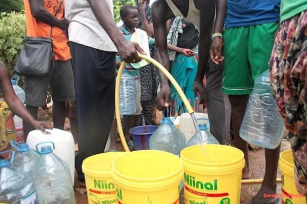 Épidémie de diarrhée présumée à Djeddah Thiaroye Kao : les habitants dénoncent l’eau « puante » de la SDE Épidémie de diarrhée présumée à Djeddah Thiaroye Kao : les habitants dénoncent l’eau « puante » de la SDE