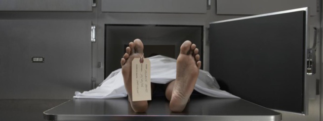 Afrique du Sud : une femme retrouvée vivante dans le réfrigérateur d'une morgue Afrique du Sud : une femme retrouvée vivante dans le réfrigérateur d'une morgue